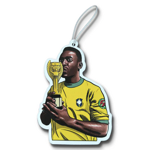 Rafraîchisseur d'air Pelé