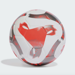 Ballon de futsal Victoria Premium Match